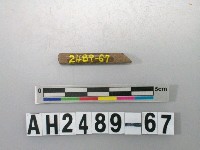 藏品(磨製石針)的圖片